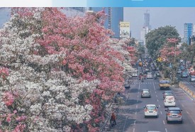 Siloam Surabaya: Kombinasi Kesehatan dan Wisata di Kota Pahlawan